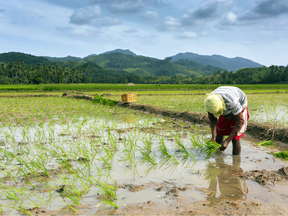 Cloud seeding mulled in Cagayan Valley in February