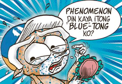 True blues