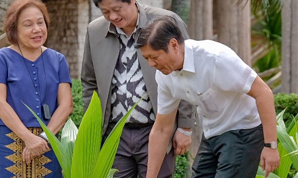 Marcos eyes giving PCA budget to plant 100-M coconut trees