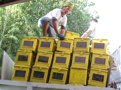 Misamis Occidental logs ‘80%-compliance’ with anti-vote-buying program