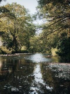 Woman found dead in a river in Binangonan