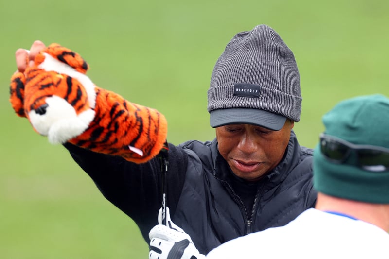 Tiger prowling soon?