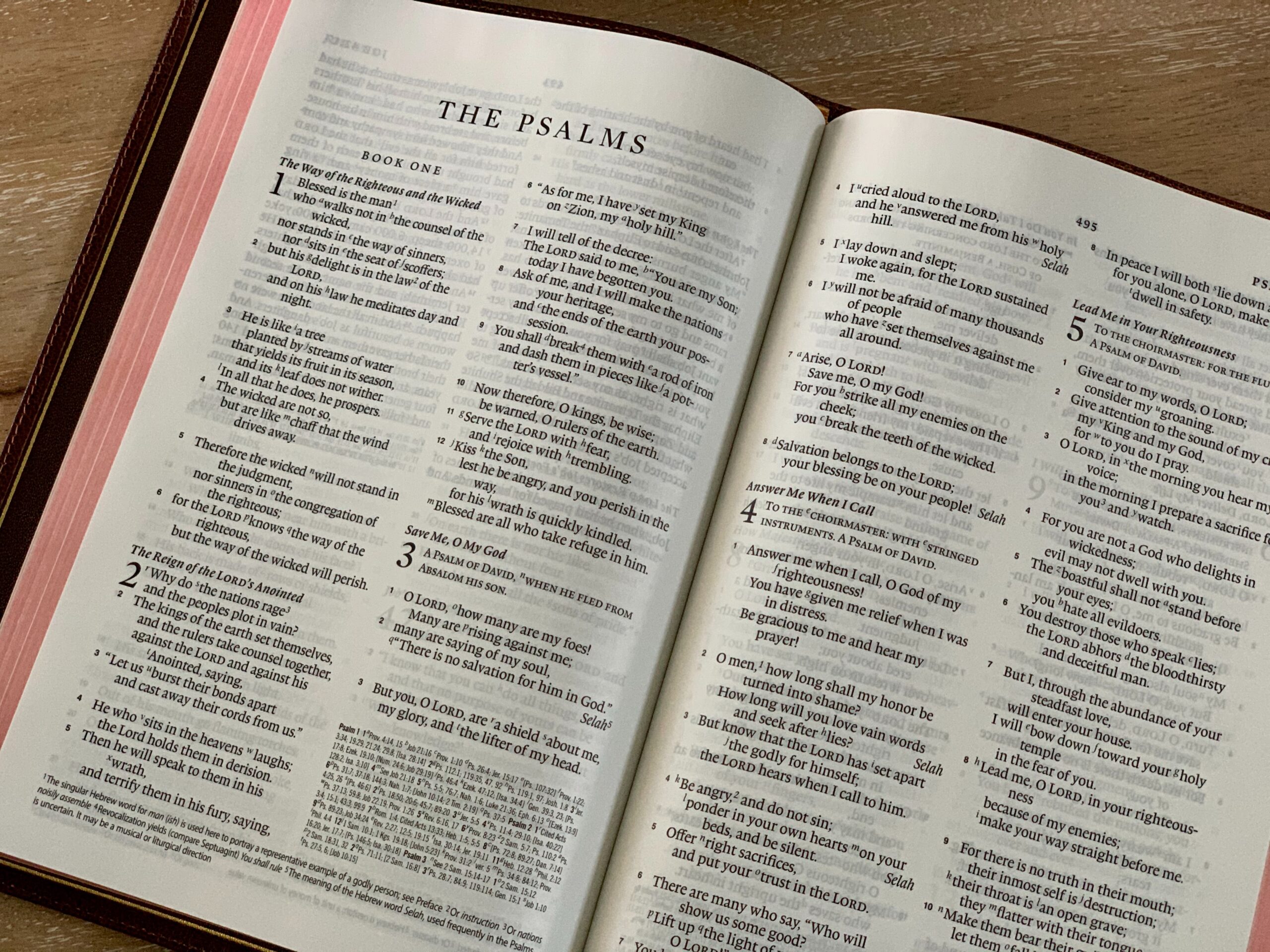 There are many, many reasons to praise God. | PHOTOGRAPH COURTESY OF unsplash/ TIM WILDSMITH