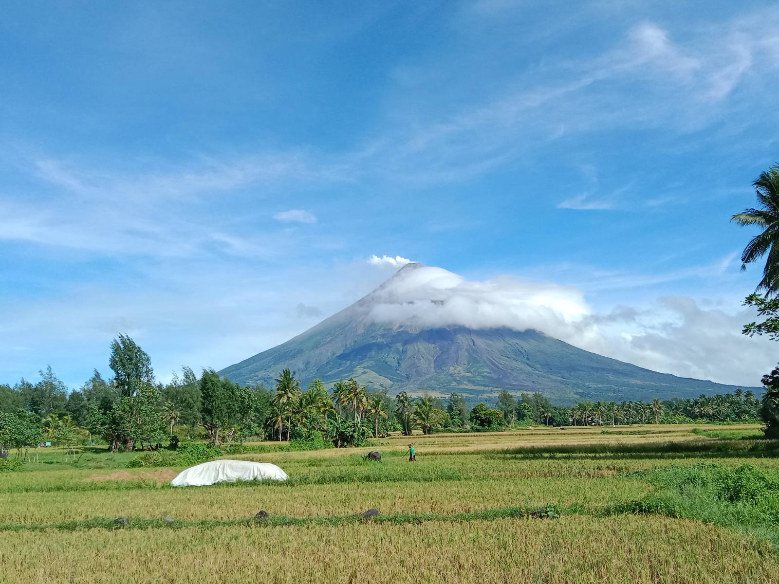 DOT backs Mayon’s bid as UNESCO World Heritage Site