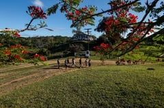 Brazil to unveil plan to increase farmland by 60%