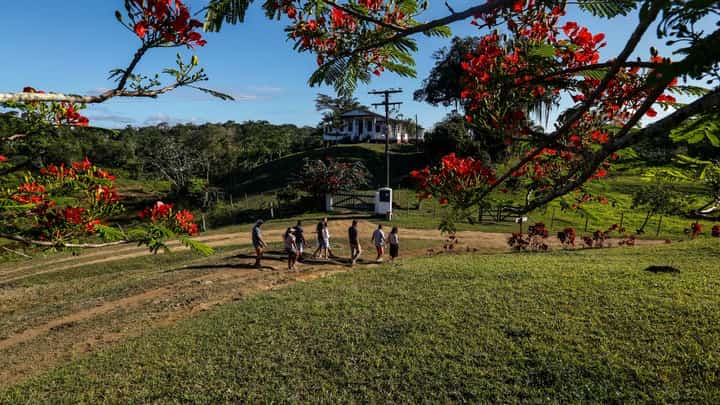 FILE PHOTO: Visitors walk around the Capela Velha cocoa farm, in Urucuca, Bahia state, Brazil, on 13 December 2019. (Photo by RAFAEL MARTINS / AFP)