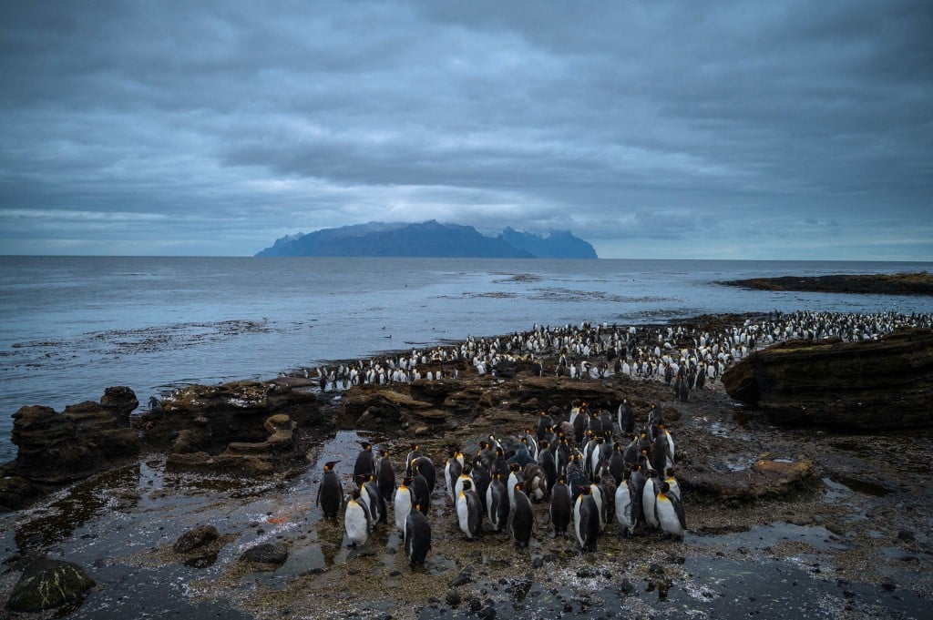 Antarctic ozone hole getting deeper in mid-spring, research suggests