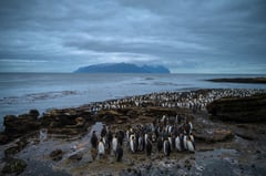 Antarctic ozone hole getting deeper in mid-spring, research suggests