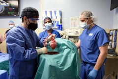 Second pig heart recipient dies six weeks after procedure