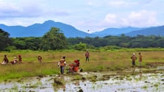 BuCor plans airport, seaport on Iwahig Prison