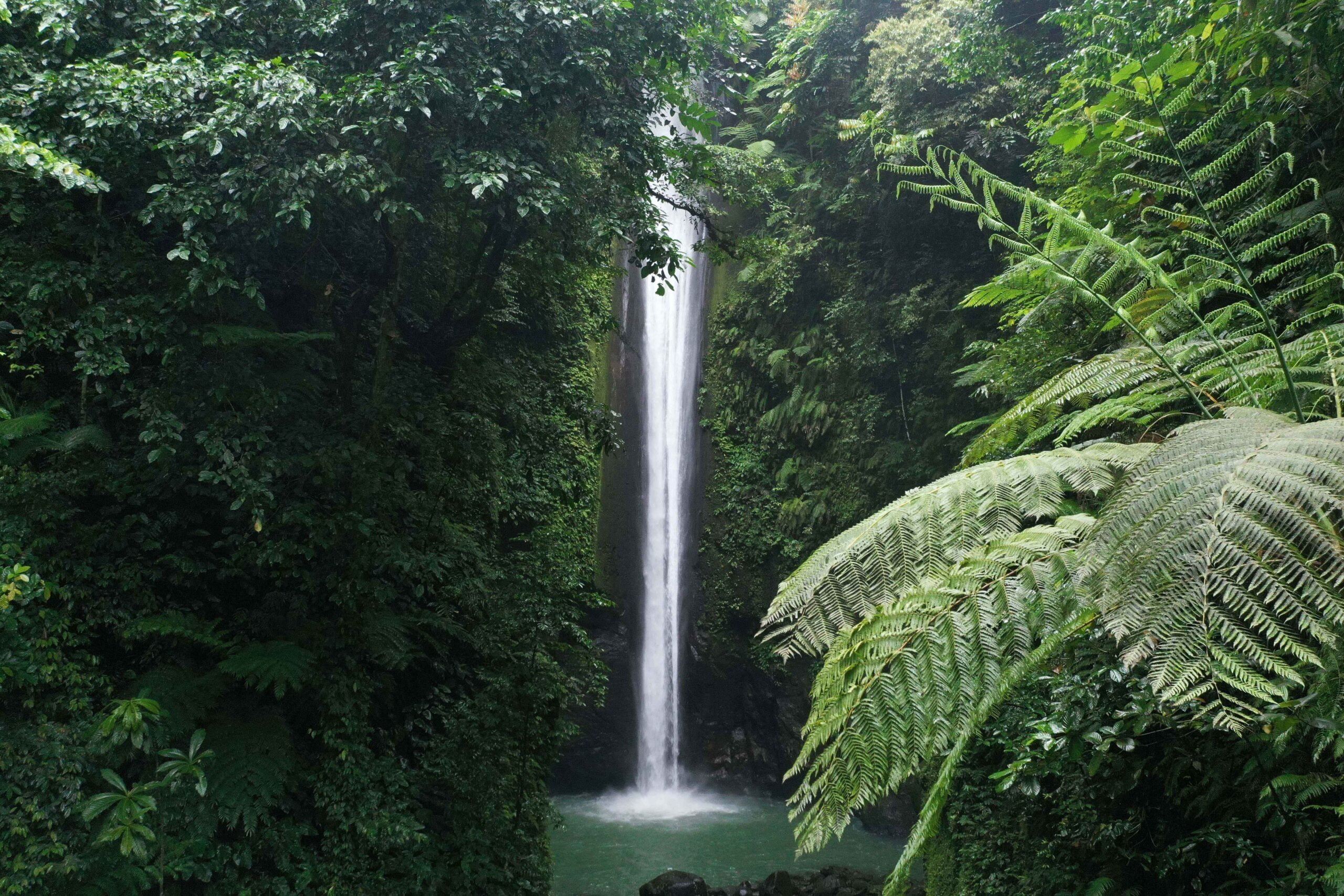 Explore Philippines in a more personal and sustainable way