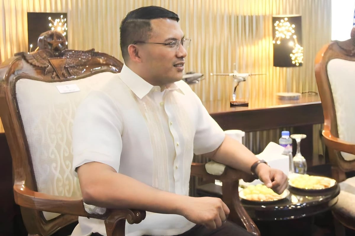 Deaths of young NPA recruits due to leftist solons’ move — NYC
