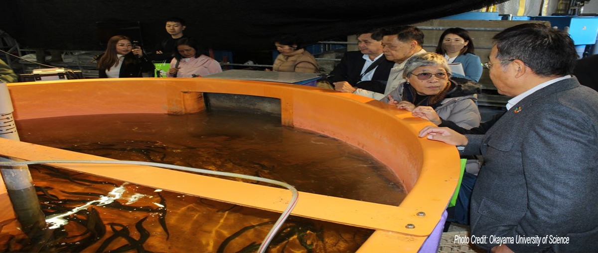 Dalaguete eyes Japanese fish production tech