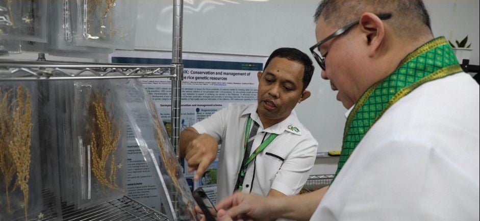 Improved rice production sought