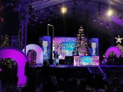 The Manor’s tree – lighting strikes a major chord