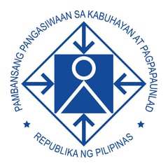 Economy resilient despite turbulent global market — NEDA