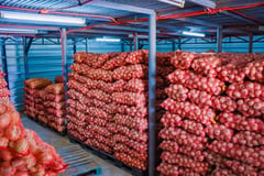Senate passes tougher measures vs. agri-economic saboteurs