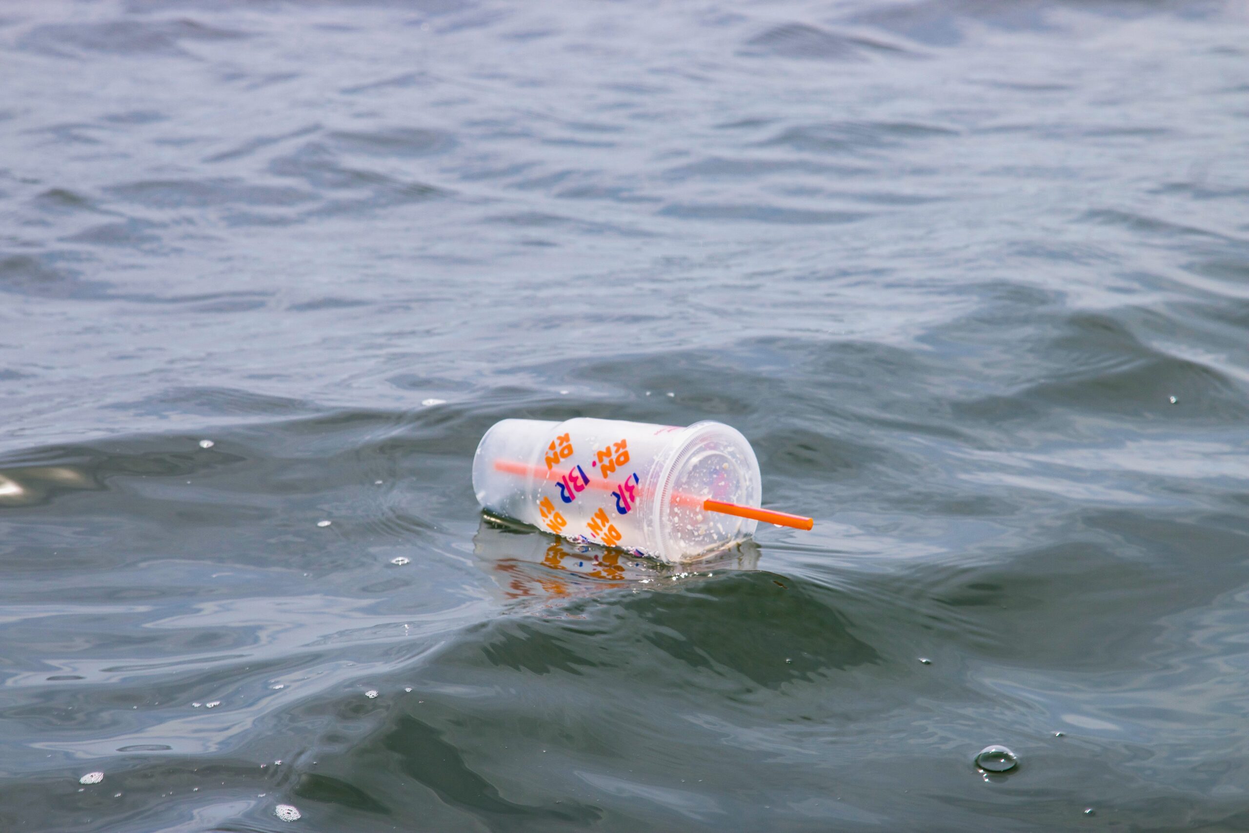 Plastic waste in rivers may carry dangerous microbes: study