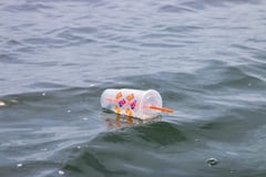 Plastic waste in rivers may carry dangerous microbes: study