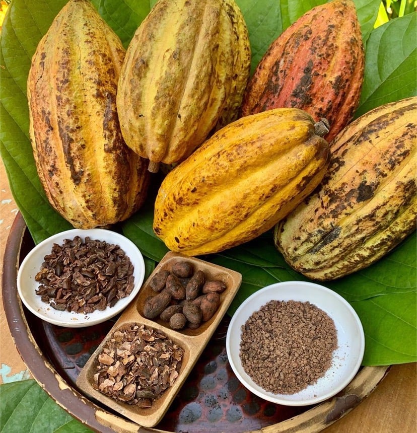 Cacao industry gets boost