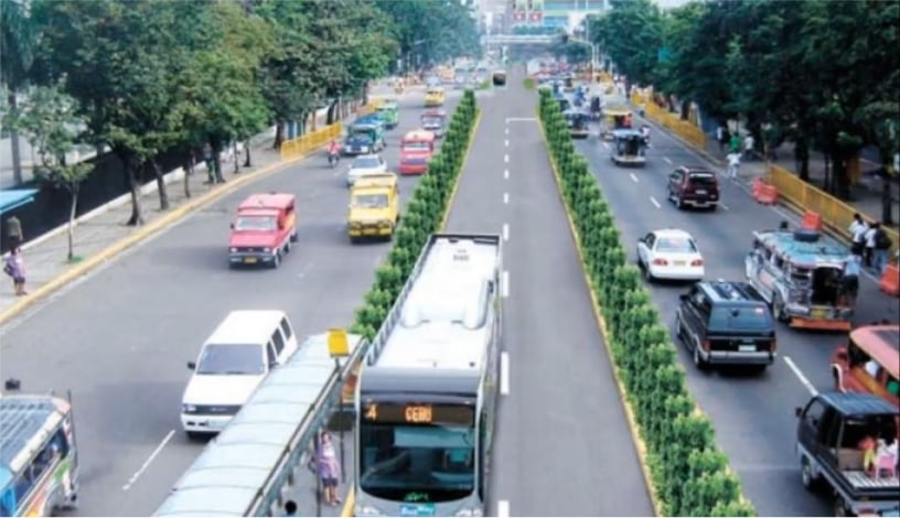 Over 200 Cebu earth-balled trees die