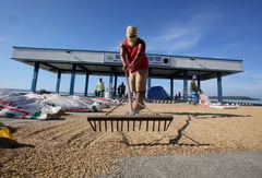 DA optimistic in 2024 palay target volume despite weather disturbances