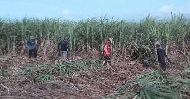 DA, SRA receive from Japan 800M-yen worth of farm equipment for small sugarcane farmers