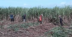 DA, SRA receive from Japan 800M-yen worth of farm equipment for small sugarcane farmers