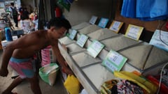 Palace extends tariff cuts on rice, corn, pork