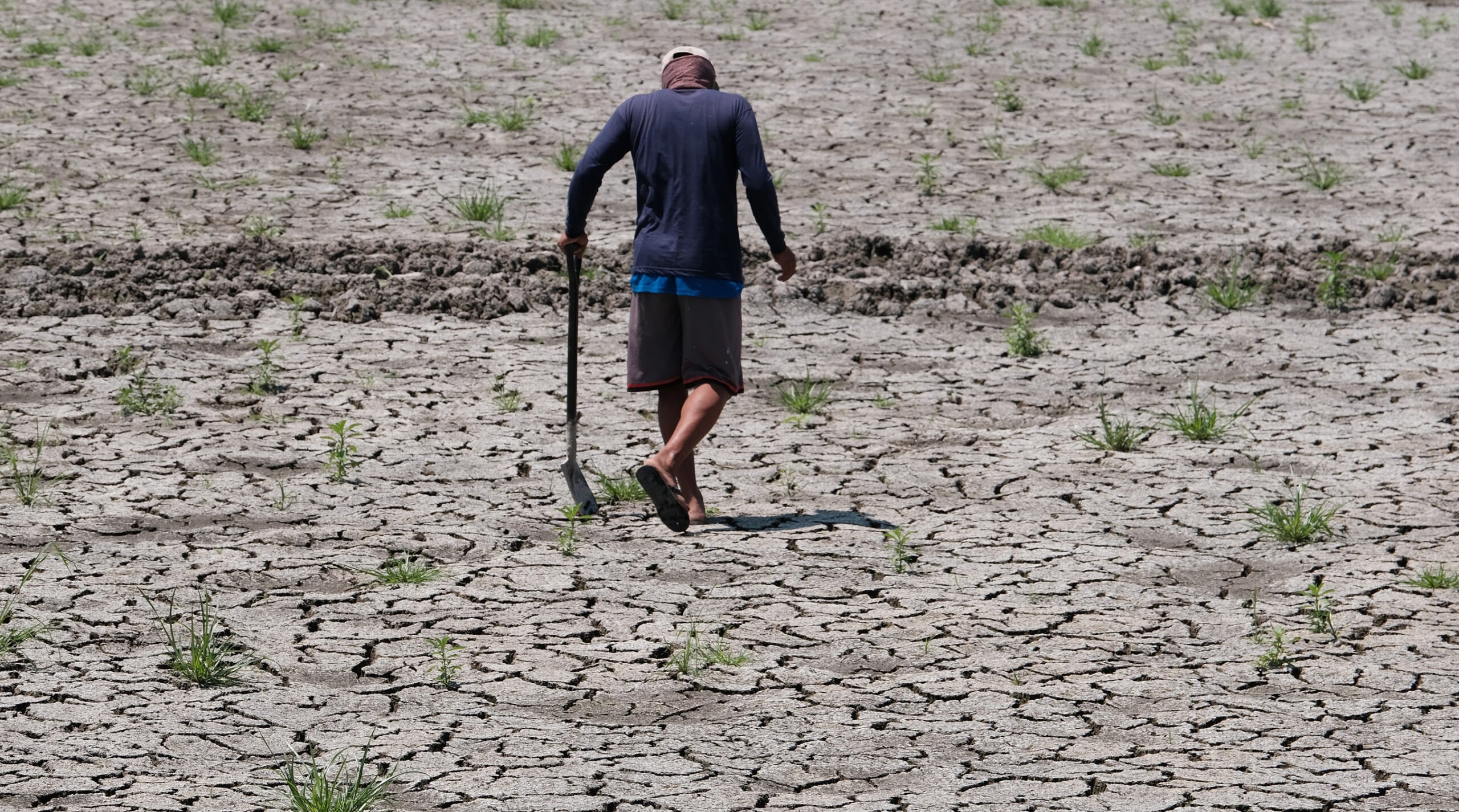 DA, El Niño Task Force implement plans to mitigate impact of dry spells on food production, farmers, fisherfolk