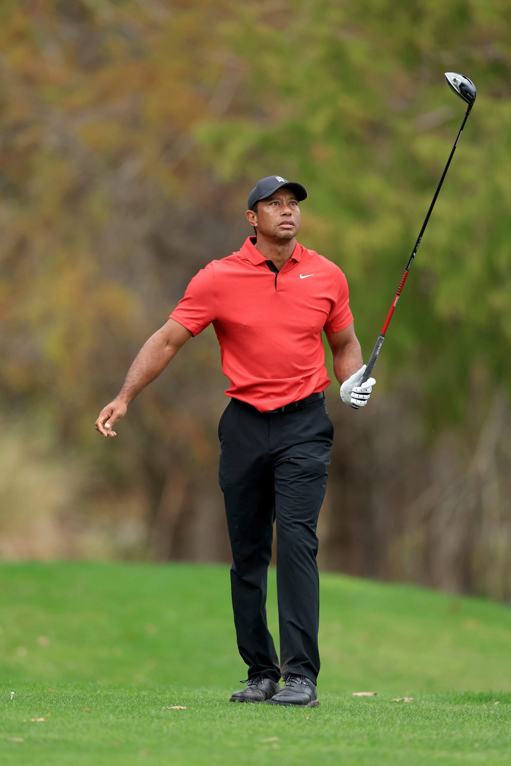 TIGER ON THE PROWL — Rejuvenated Woods encouraged to return