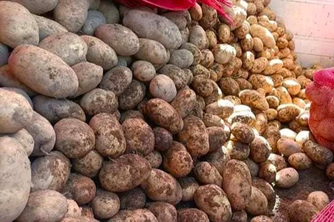 Vegetable traders warn public of veggies marked as Baguio, Benguet produce