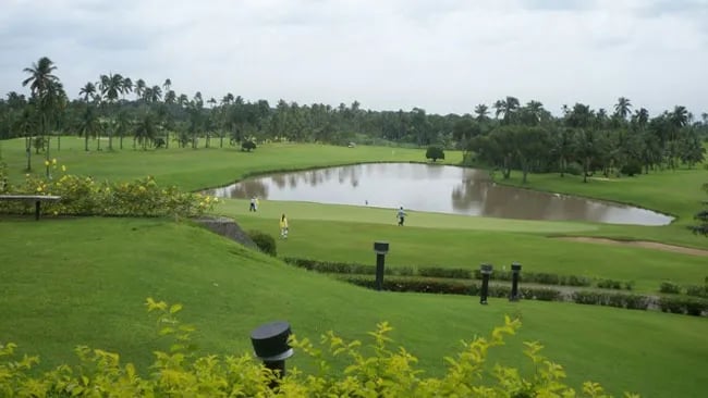 My favorite courses 2023