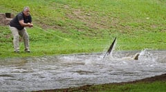 Australia sees evacuation over flood disasters
