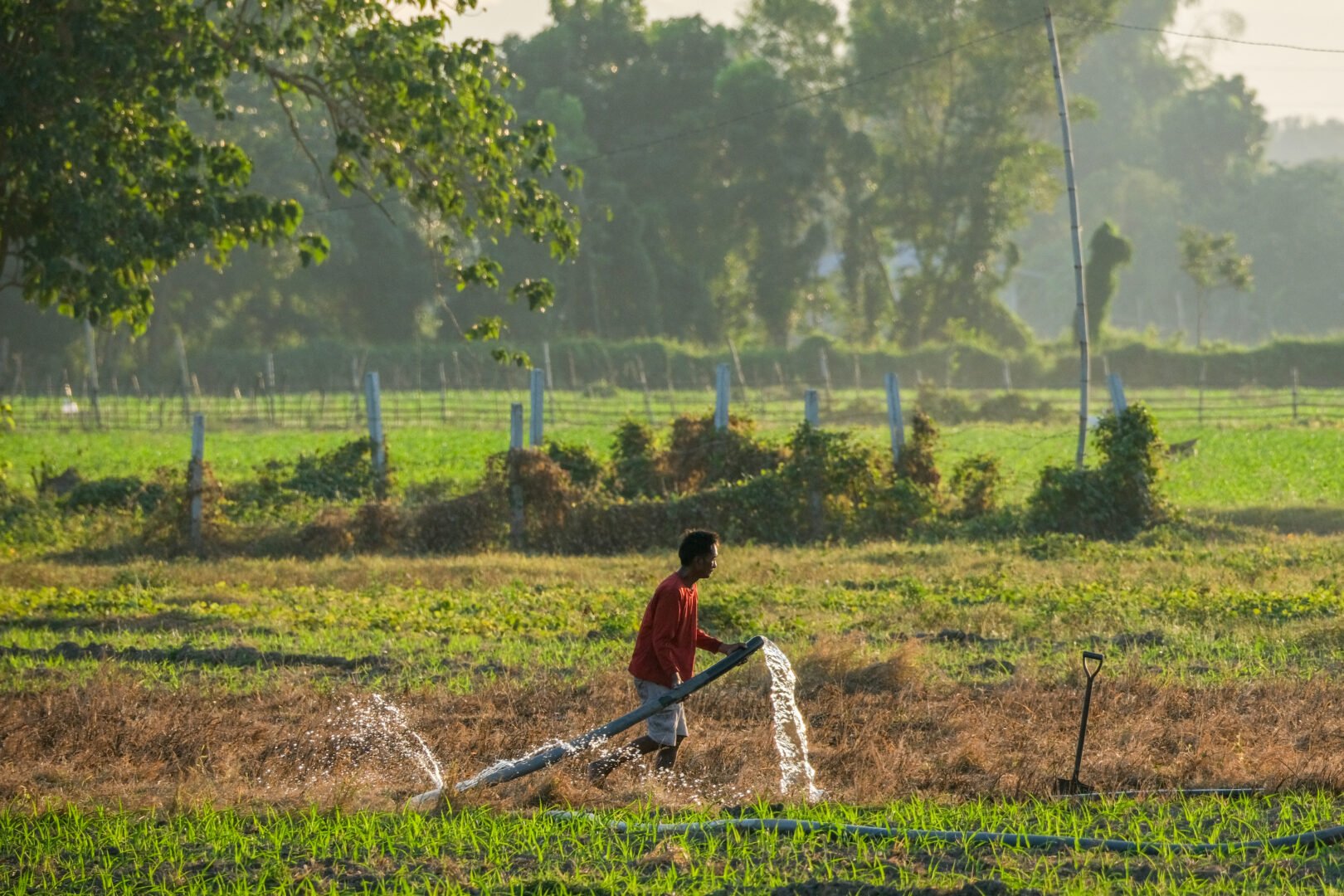 Central Luzon gears up vs El Niño