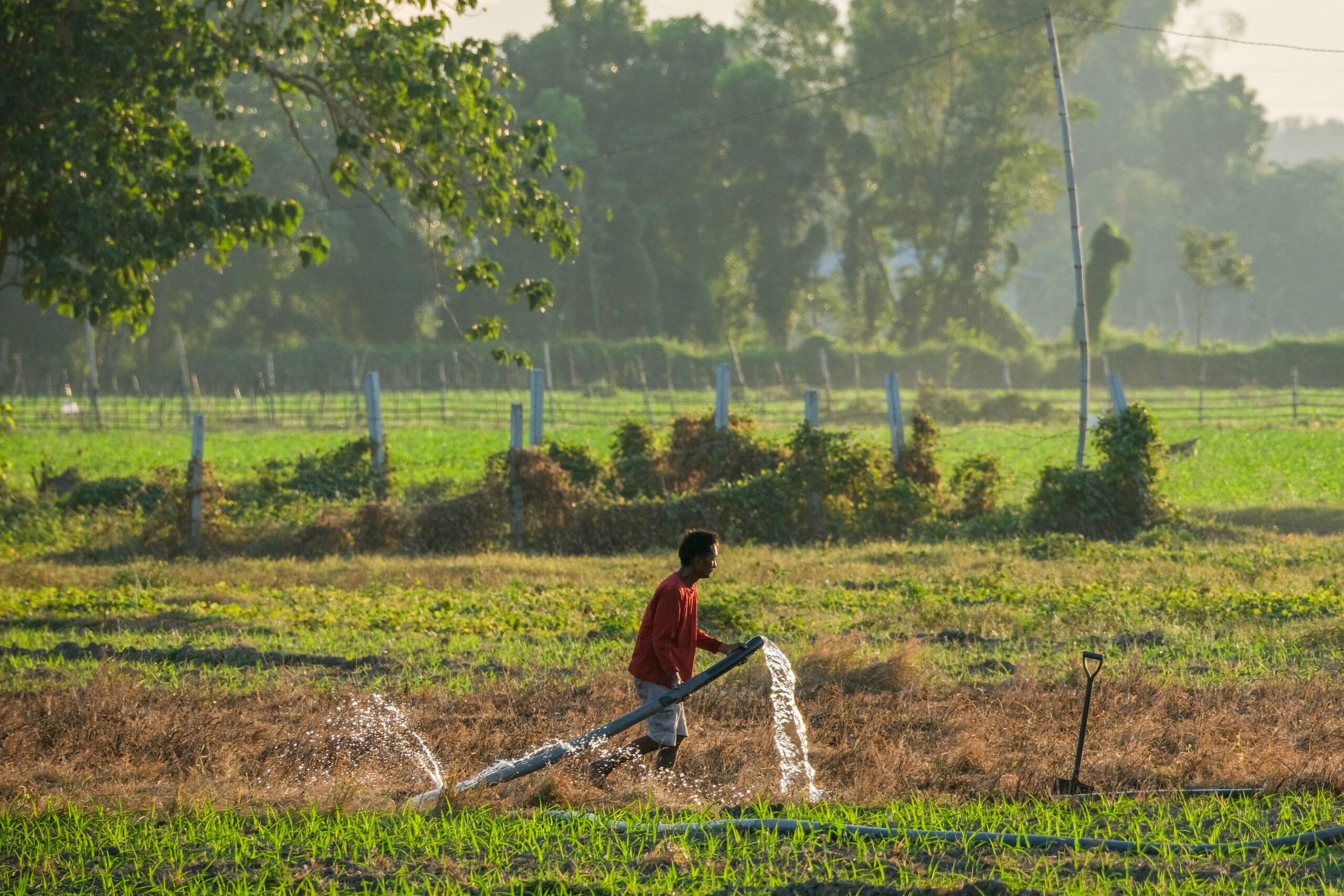 El Niño logs over P151-M agri loss