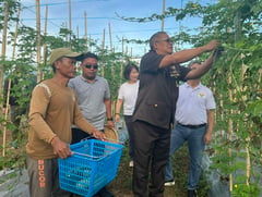 Iwahig holds harvest festival