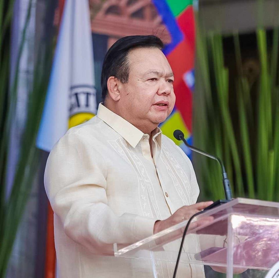 Iloilo City mayor bags top performer plum