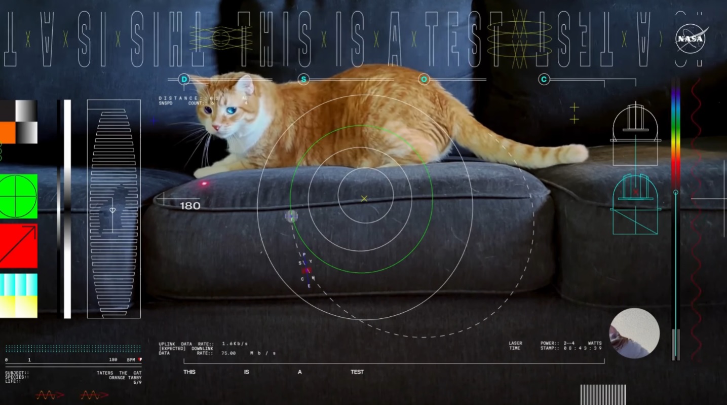 The feline frontier: NASA sends cat video from deep space