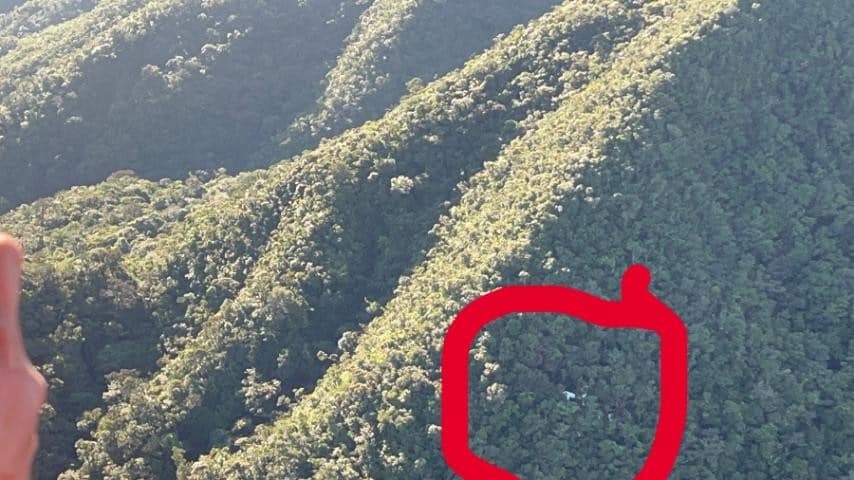 Missing Piper plane found