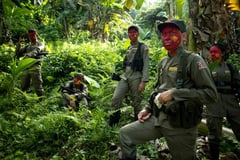 Nine Philippine communist rebels dead in clashes: military