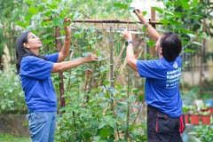 From adversity to abundance: Mothers triumph in urban gardening
