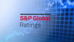 FDIs growth likely stable in few years — S&P