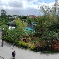 Resort owner answerable to environmental laws – DENR