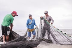 Agri chief seeks private sector support to modernize farm, fish sectors