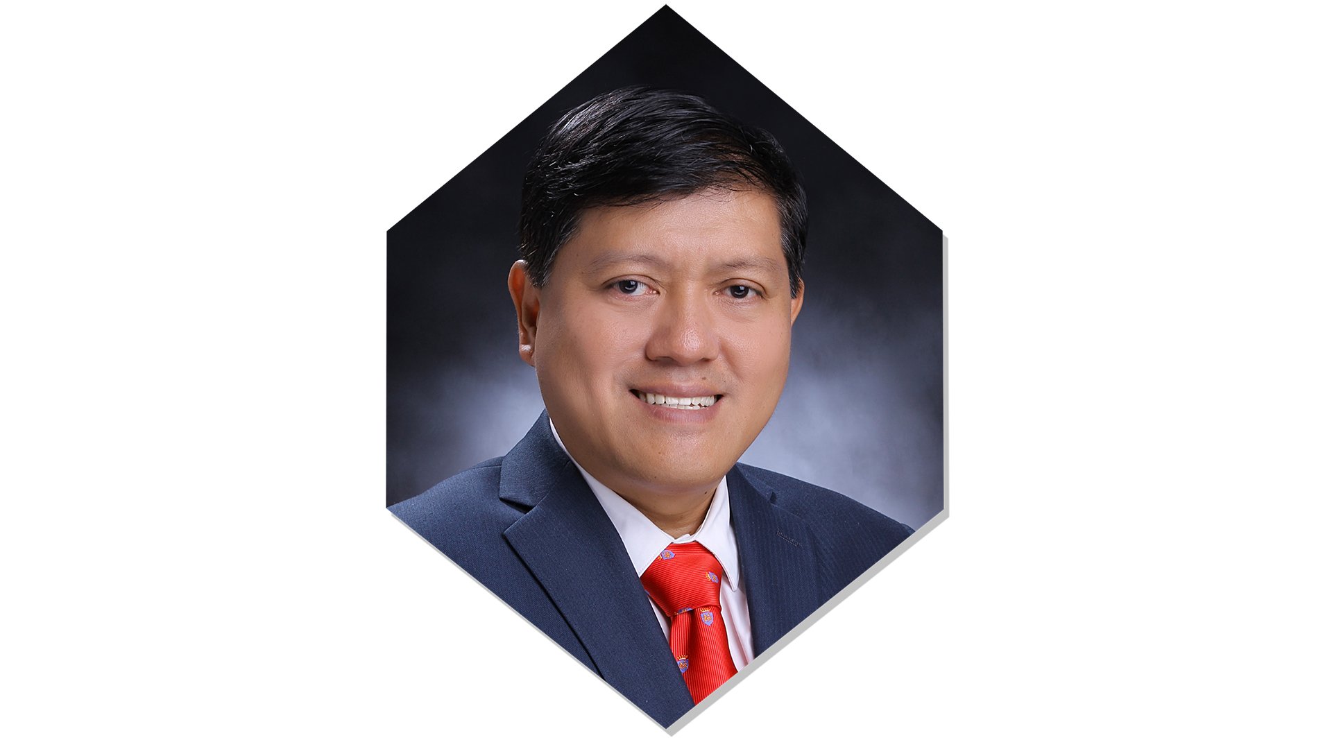 SEC chief bags PRC Outstanding Professional of the Year Award