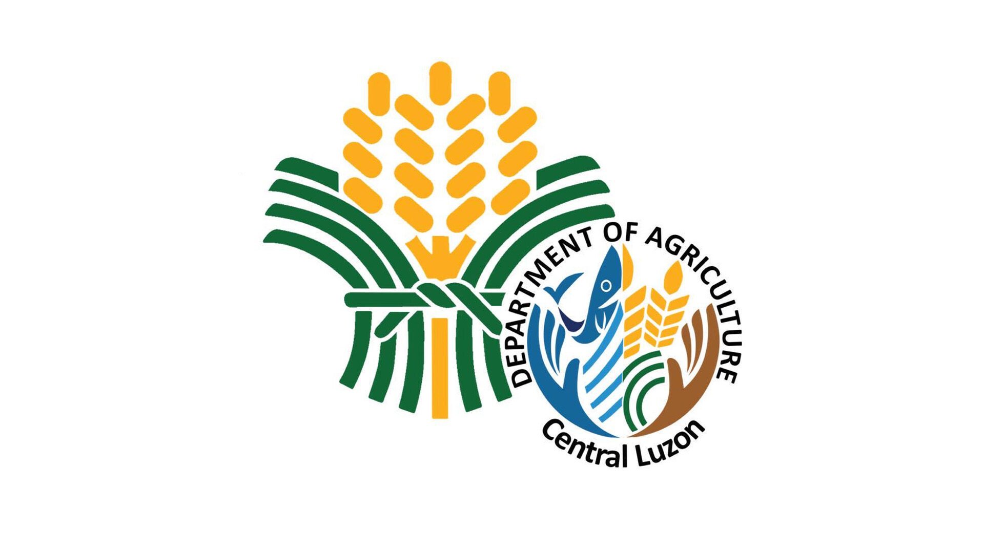 DA Central Luzon plans for 2023-24 dry season