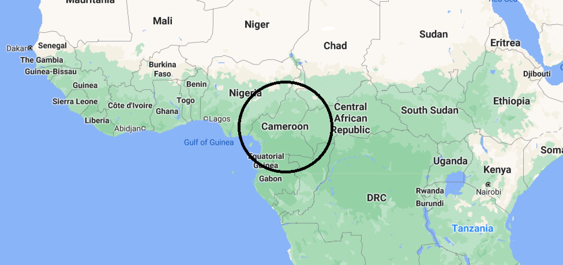Cameroon separatists ‘torture’ children, kidnap school staff