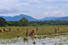 Cloud seeding mulled amid El Niño