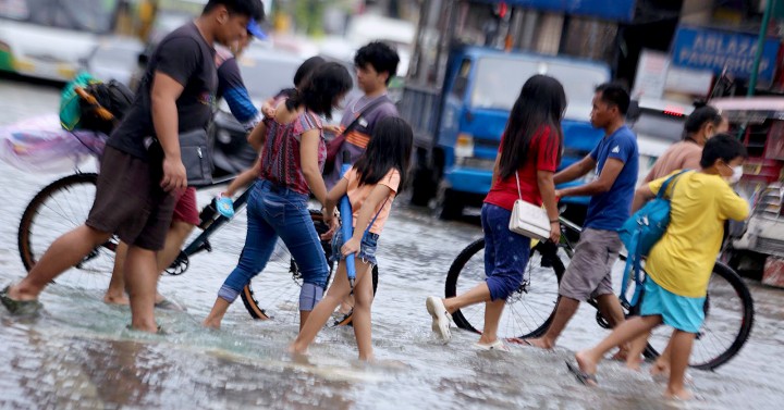 Leptospirosis cases further decline
